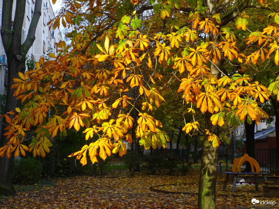 néhány perc napsütés a mai esők között