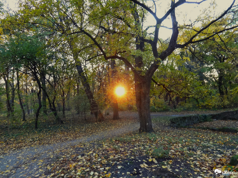 alacsonyan jár a nap