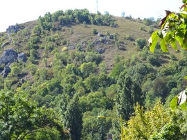 Eső után kizöldült  a Sashegy