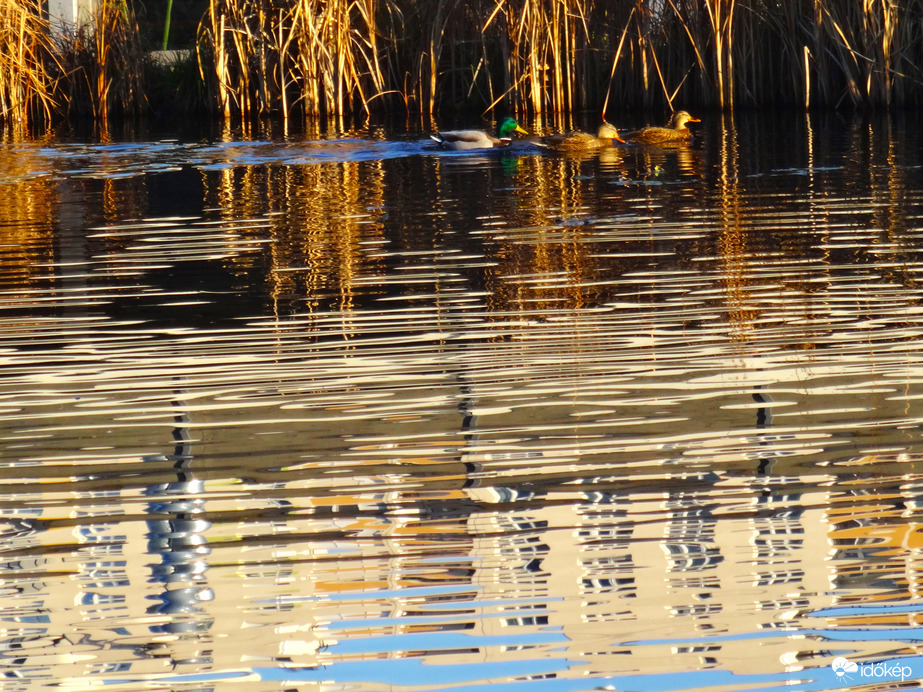 A ködnap előtt dec.18.