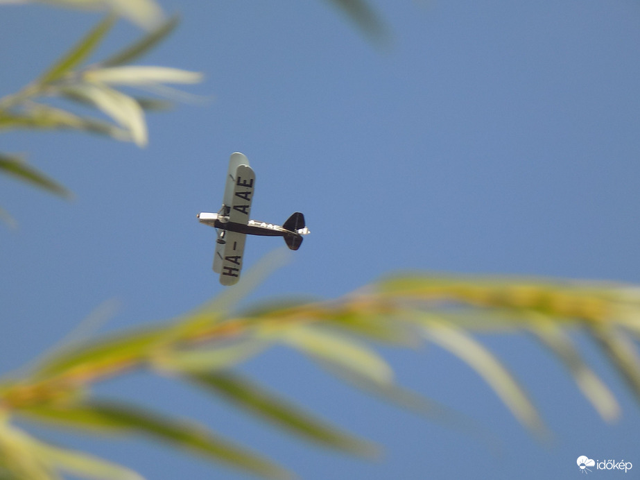 madár helyett egy "gerle"