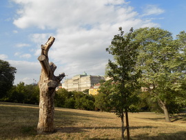 kmo fotója