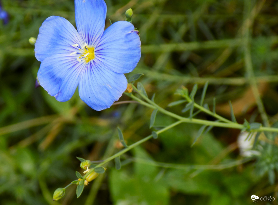 egy az utolsók közül nov.2.