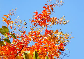 tiszta égbolt délidőben
