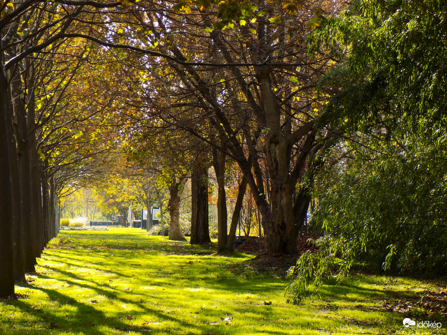 budai part átellenbn a Kopszi-gátnál.