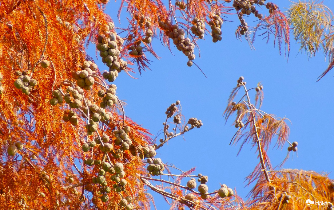 derült, napsütéses időben