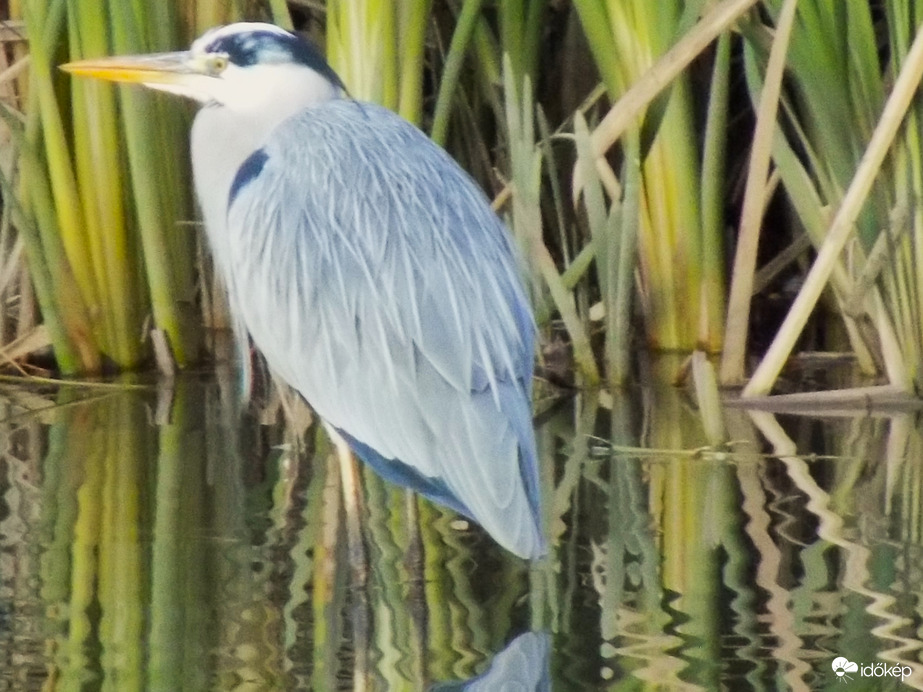 azért a  gémet is láttam a túlpartról