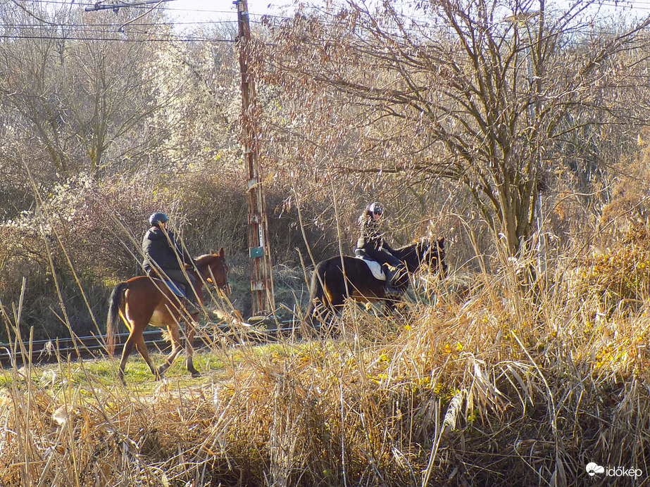 napsütéses dec.17.