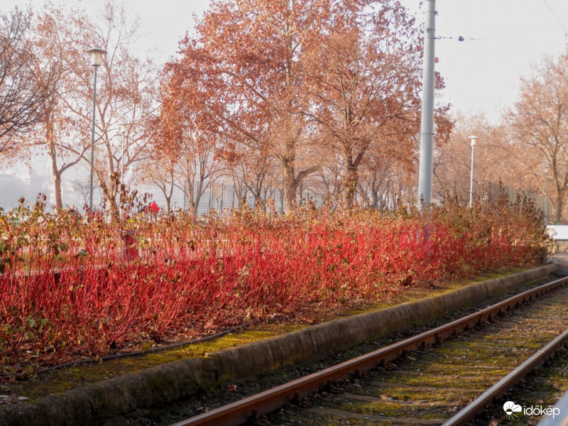téli napfény a szürkék után