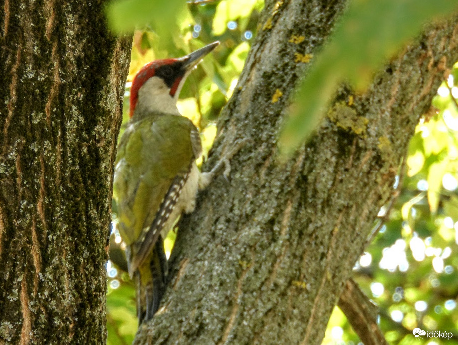 :) előkerült a rég nem látott