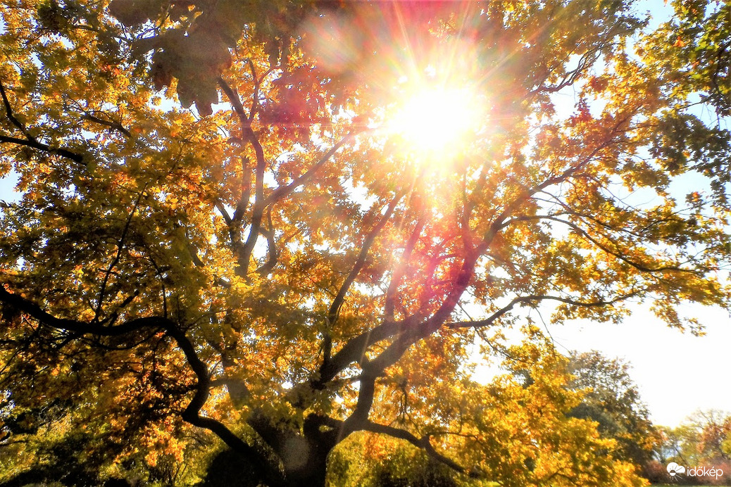szép őszi napon