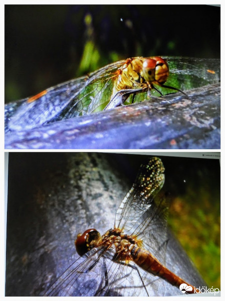 mai fotó: ennyi maradt belőle