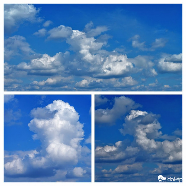 gomoly alakváltozása