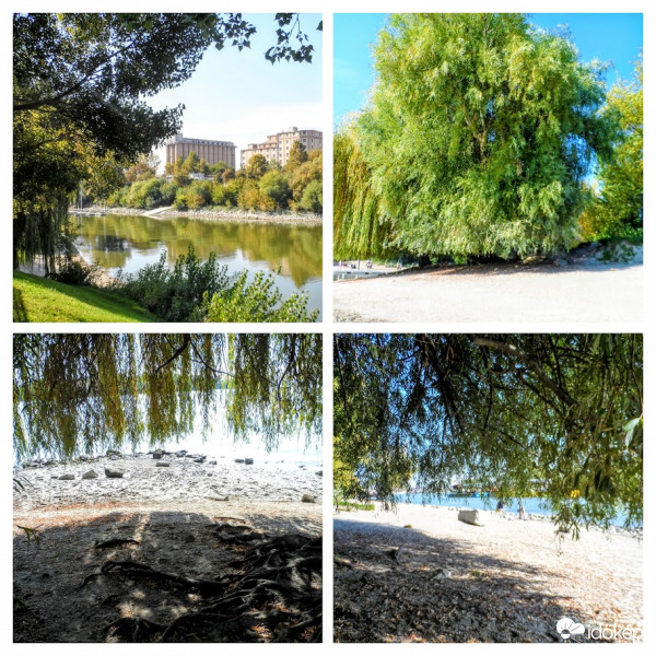 Alacsony vizállás a Dunán