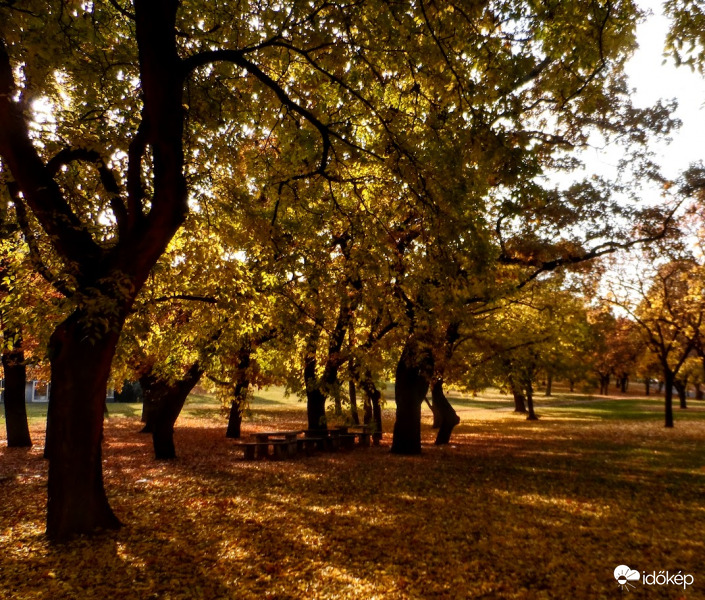 városi park részlet