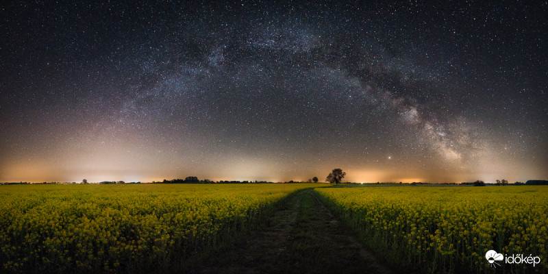 Tejútrendszer panoráma és a repcemező