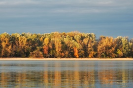 Duna partján 