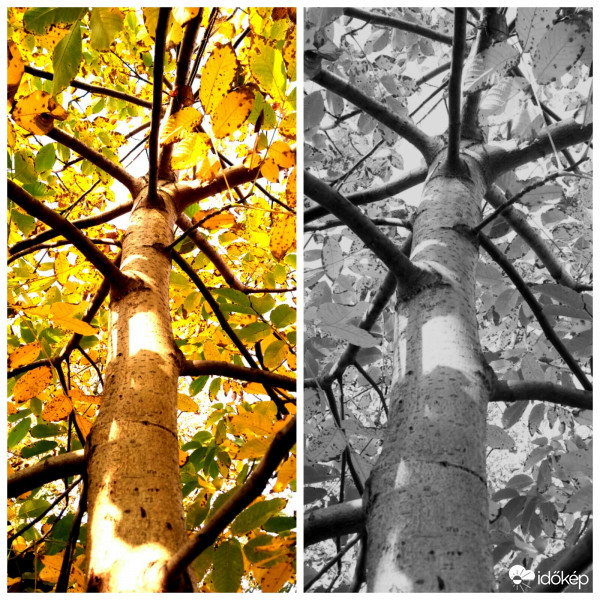 Színesben szebb nekem