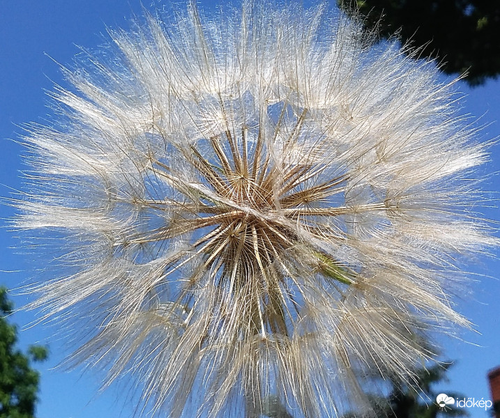 Tegnapi fotó
