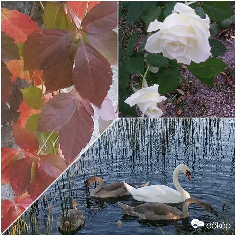 Októberi pillanatkép