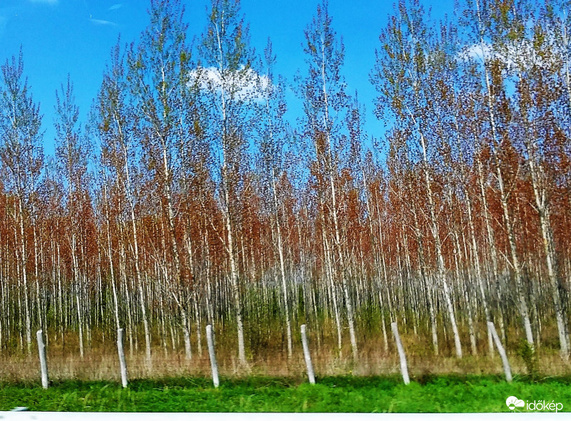 Ébredező természet