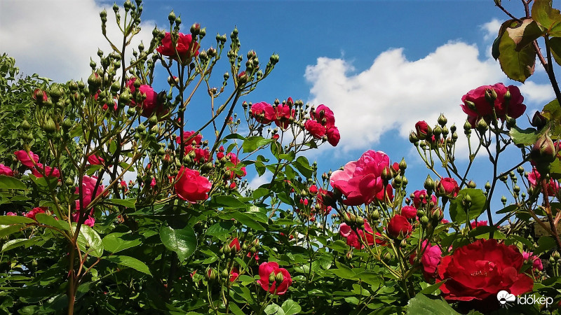 Szép idő van