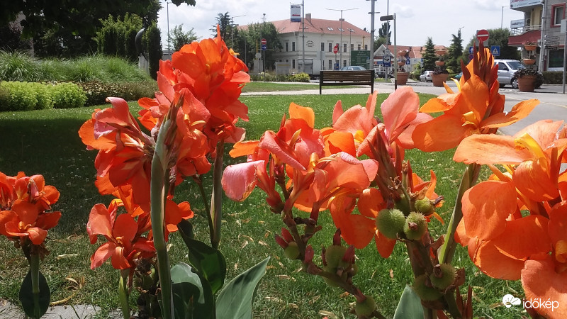 Mosonmagyaróvár park
