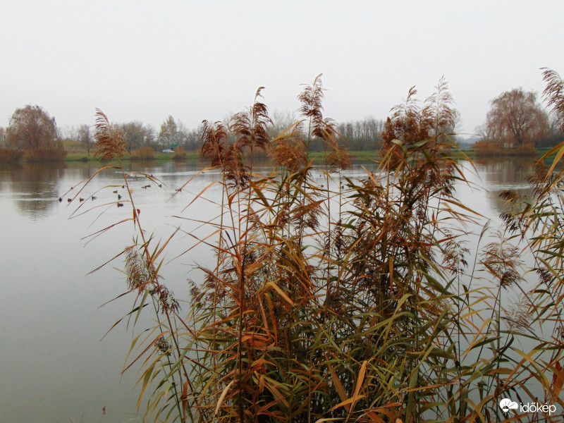 Hegyeshalom