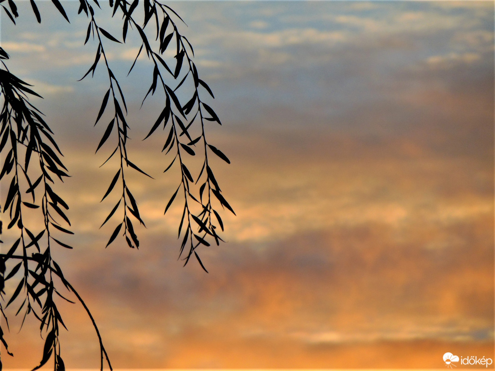 Hegyeshalom 11.17-én