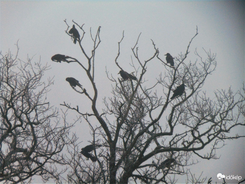 Borongós szürke nap