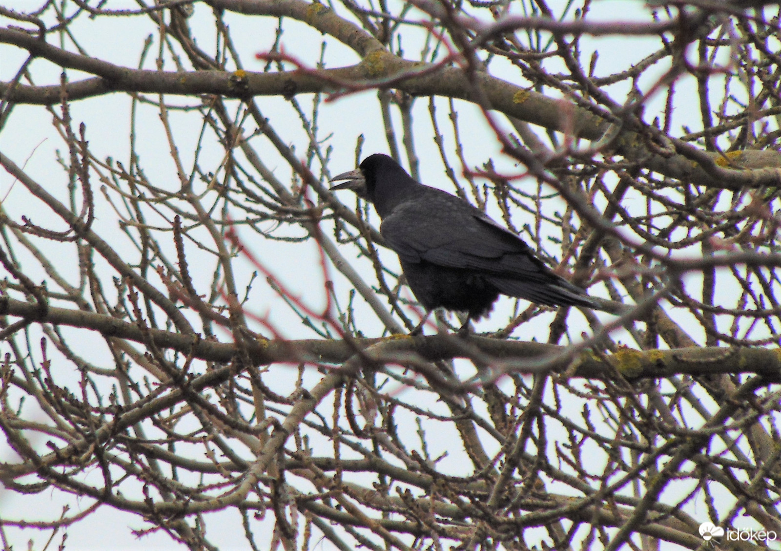 Kár, hogy egész nap köd van