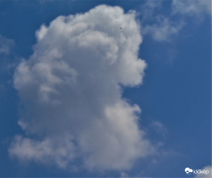 Felhő kislány portré