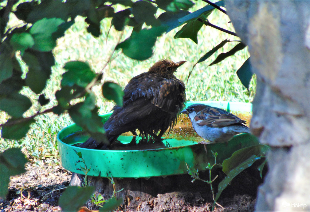 Hagyhatnál nekem is egy kis vizet!