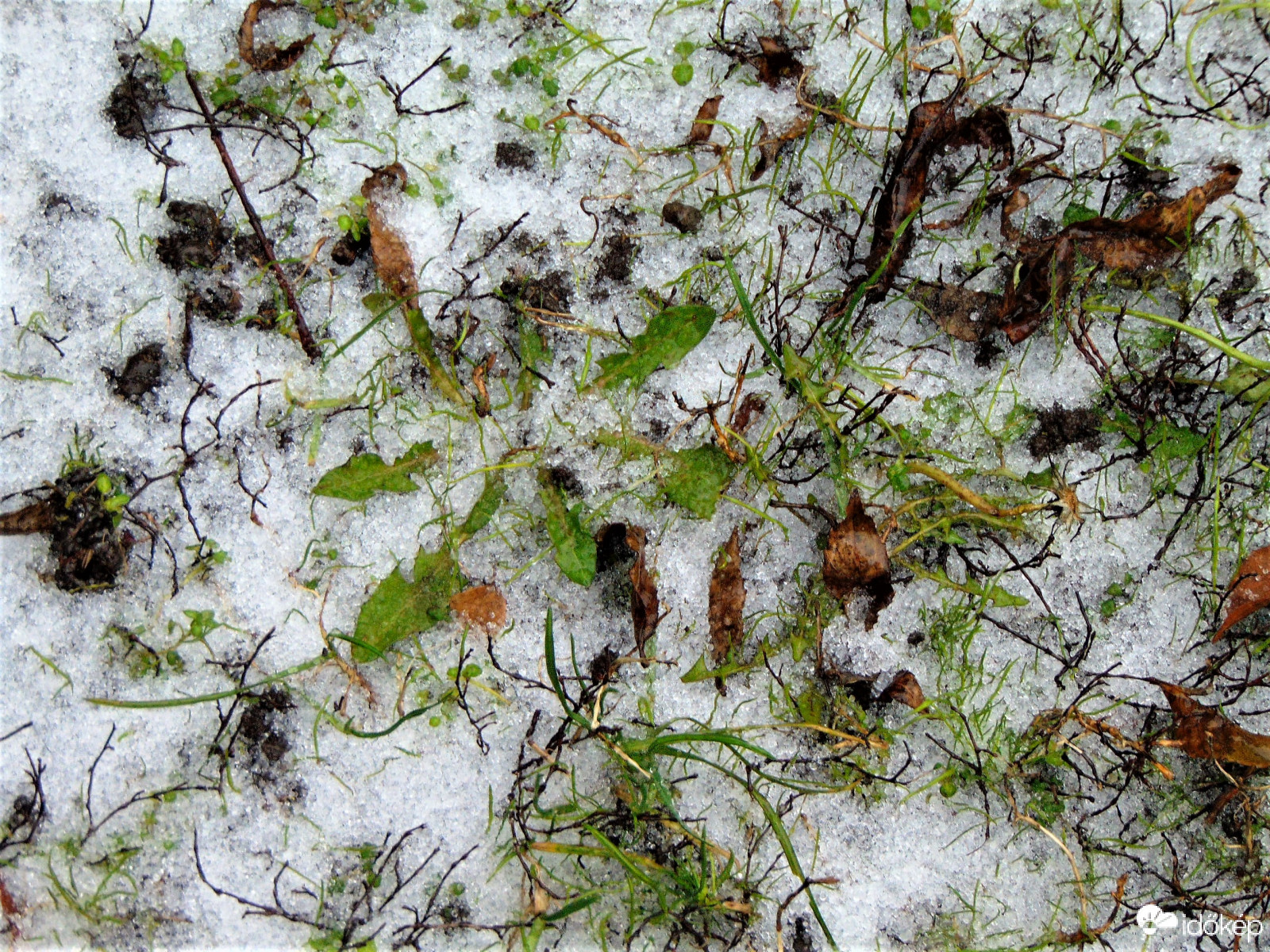 Természet modern képe