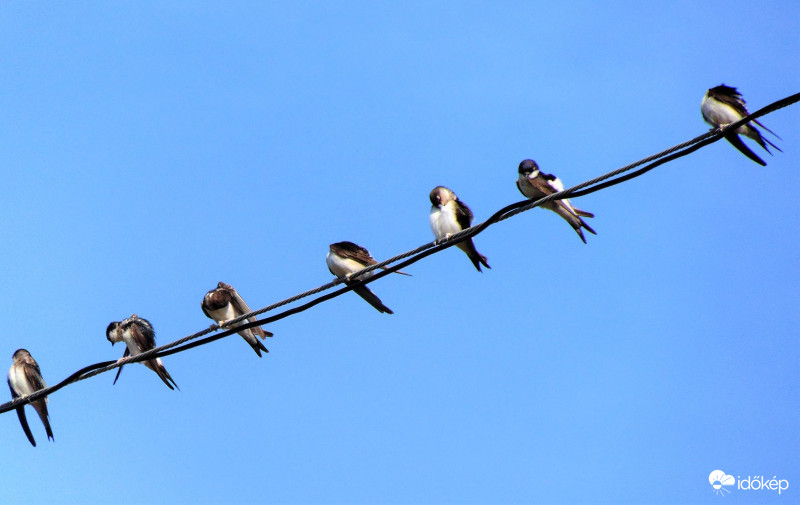 Délelőtti tisztálkodás
