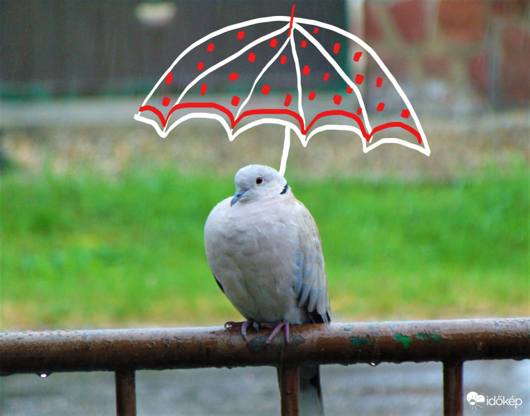Elkel ma az esernyő