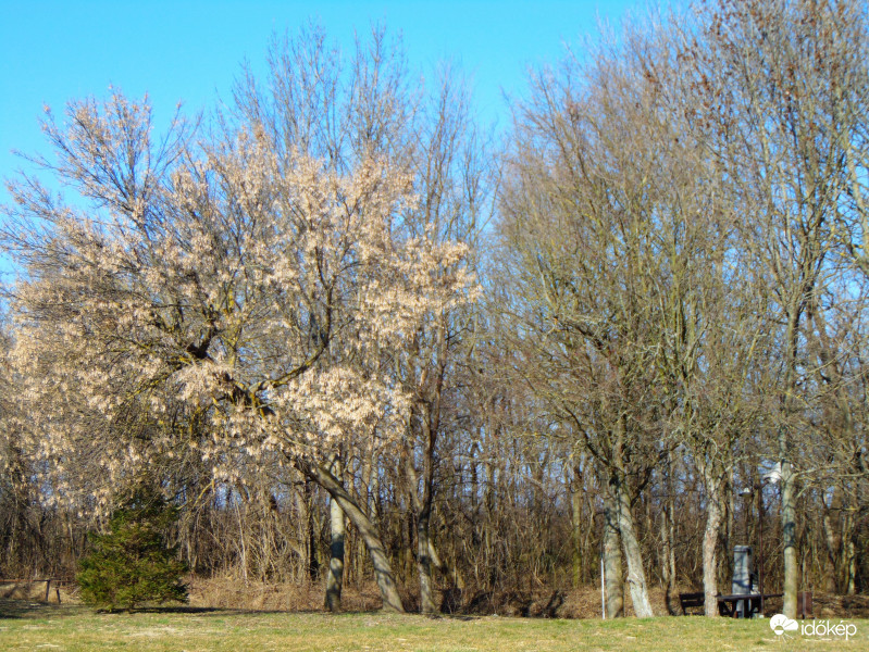 Hegyeshalom