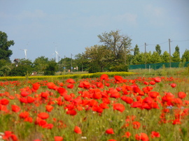 Hegyeshalom