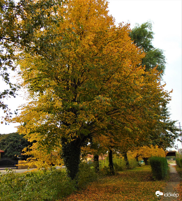 Hegyeshalom