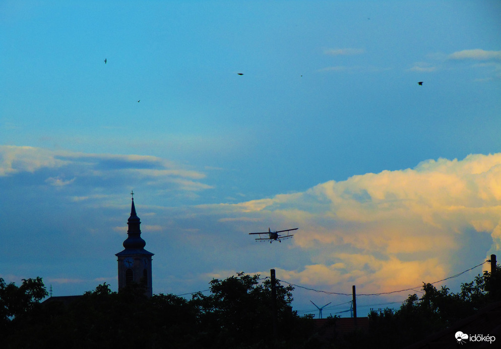 Szúnyogírtás most