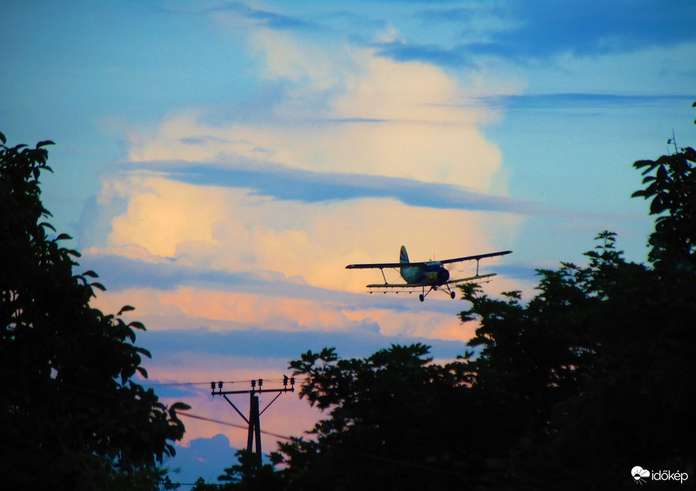 Szúnyogírtás most