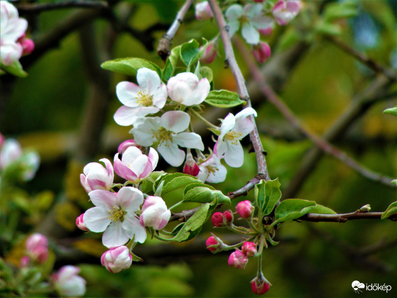 Kitartás, csak el ne fagyjak