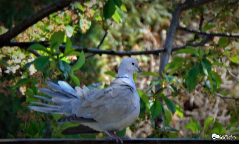 Így is szép vagyok?