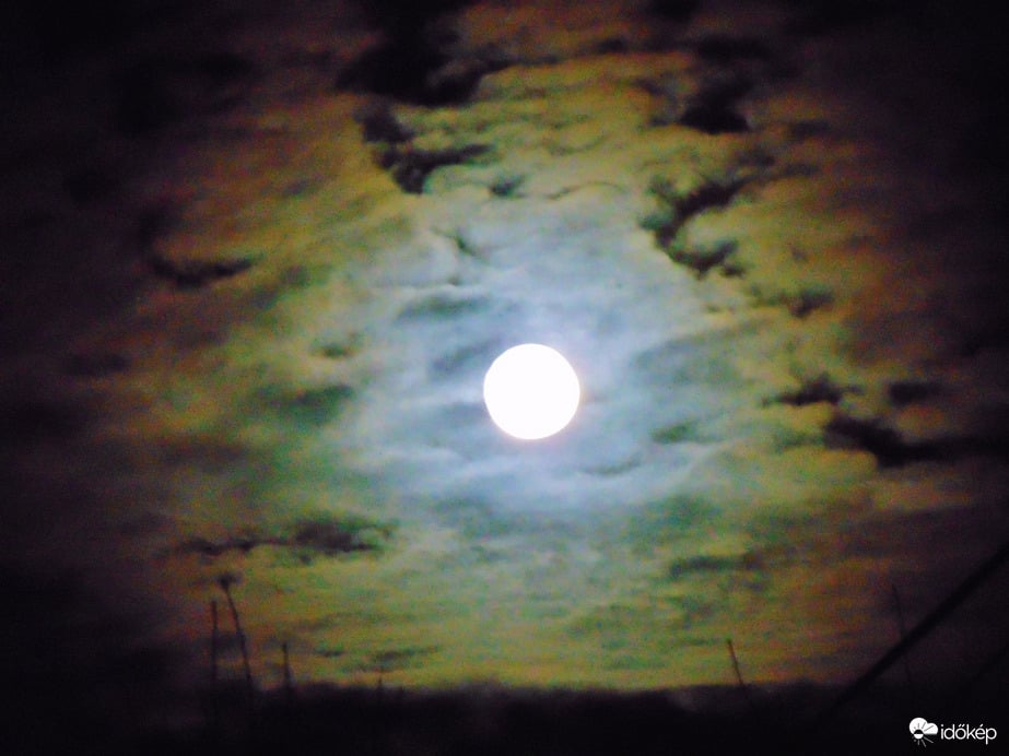 Hajnali Hold