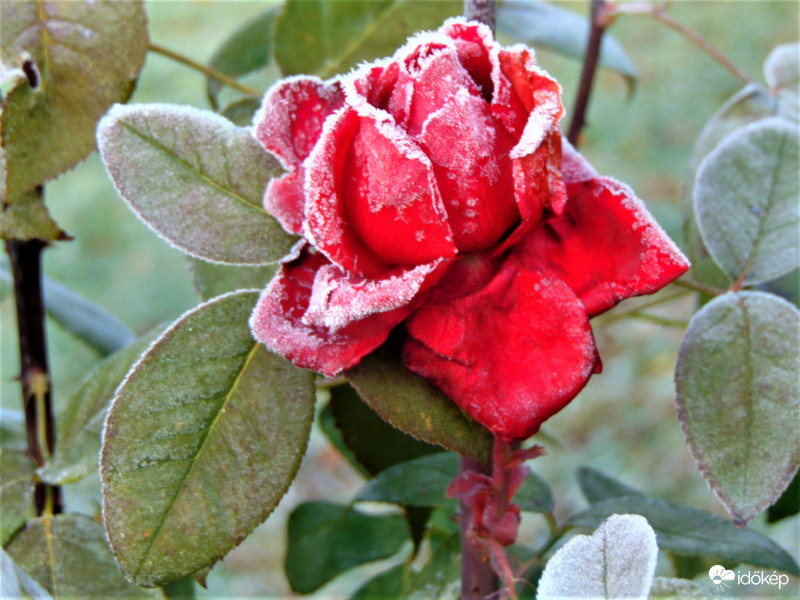 Megérkezett a hideg 