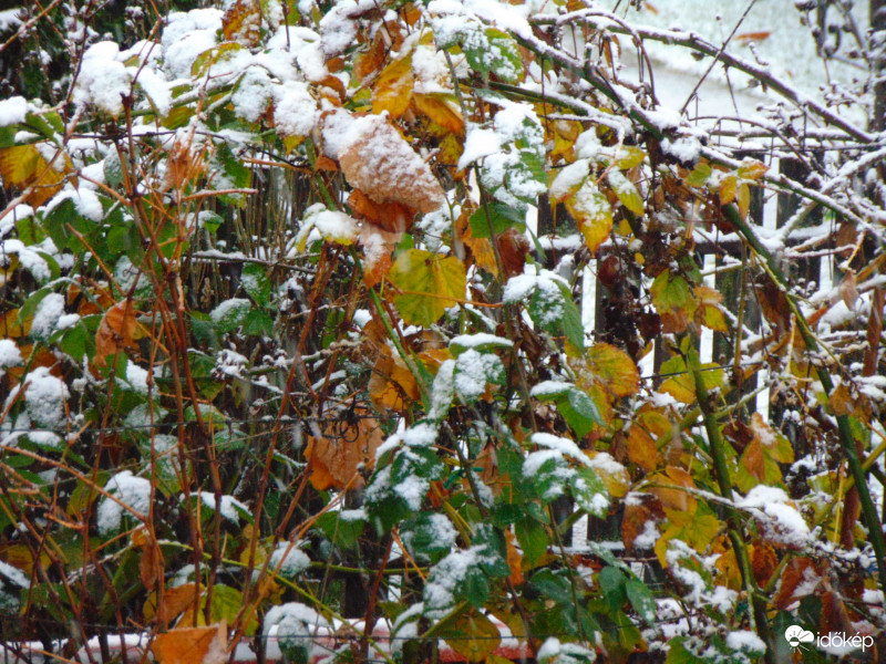 Átmenet ősz és tél között