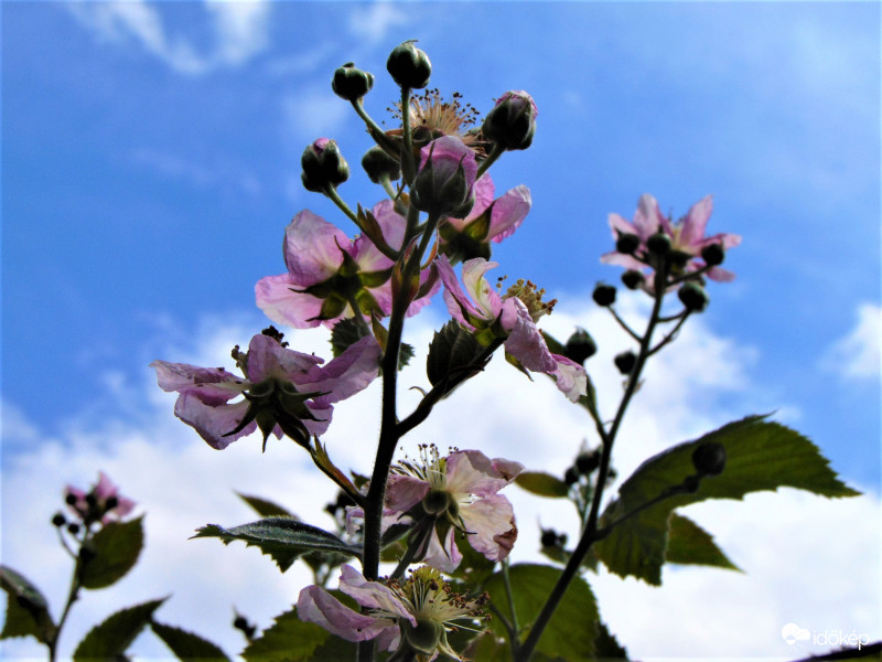 Délelőtt még szép idő