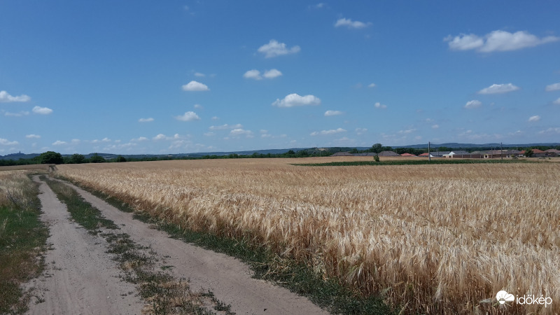 Péri gabonamezők a pannonhalmi apátság sziluettjével