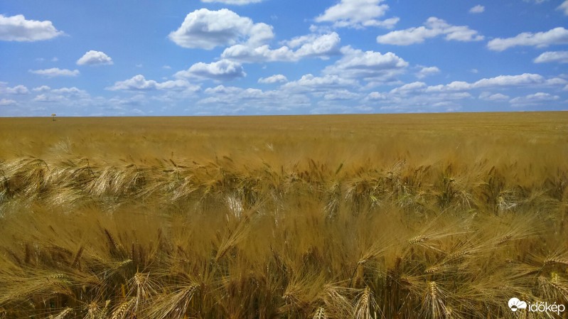 Isaszeg