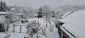 Ózd